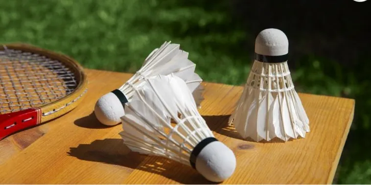 Bí Kíp Cá Cược Cầu Lông SODO Chắc Thắng Trong Tay