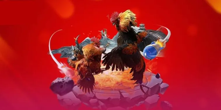 Đá Gà SODO Đấu Trường Bất Bại Cho Mọi Kê Thủ Chuyên Nghiệp